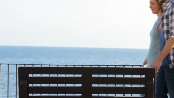 Вид Сзади Портрет Счастливой Пары Сидящей Скамейке Расслабляющей Созерцающей Океан — стоковое видео