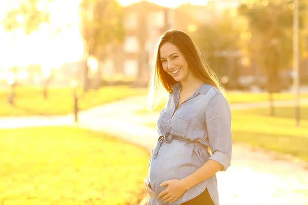 Retrato Una Mujer Embarazada Mirando Cámara Parque Atardecer — Foto de Stock
