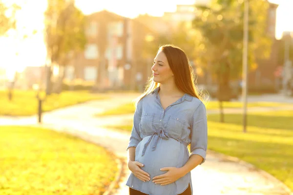 Retrato Una Mujer Embarazada Caminando Hacia Cámara Mirando Costado Parque — Foto de Stock