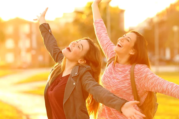 Радісні Друзі Жартують Піднімаючи Руки Святкуючи Парку Заході Сонця — стокове фото