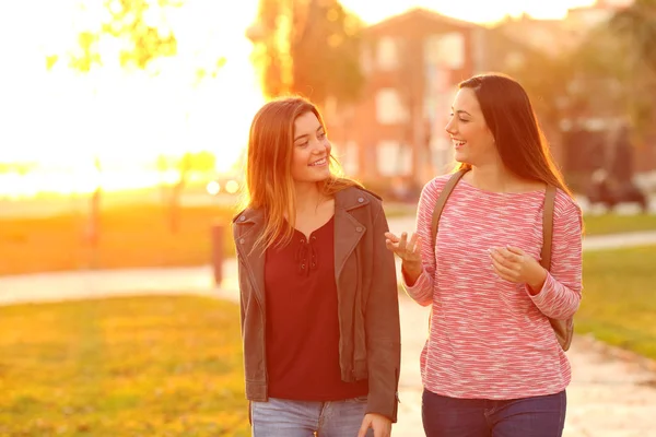 Portrait Von Zwei Glücklichen Freunden Die Bei Sonnenuntergang Einem Park — Stockfoto