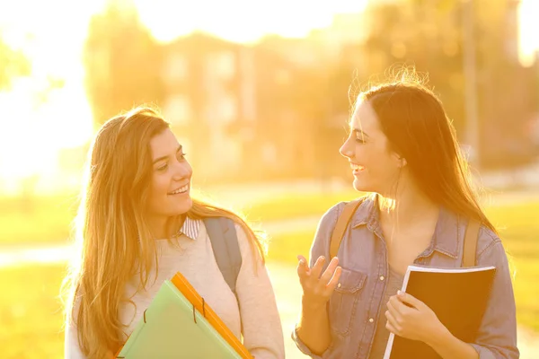 Front View Portrait Two Happy Students Walking Talking Sunset Park Royalty Free Stock Photos