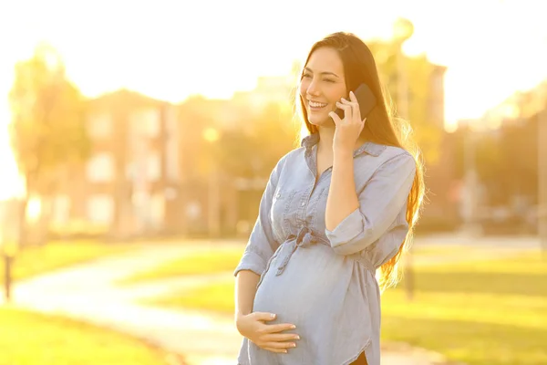 Mujer Embarazada Feliz Hablando Por Teléfono Pie Atardecer Parque — Foto de Stock