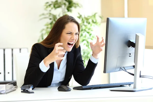 Angry office worker loosing control checking computer content