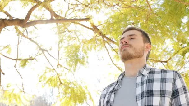 Happy Relaxed Man Breathing Deep Fresh Air Standing Park — Stock Video