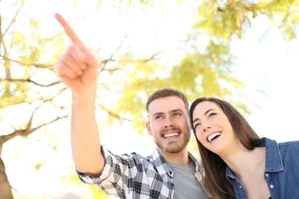 Pareja Feliz Señalando Ubicación Pie Parque —  Fotos de Stock