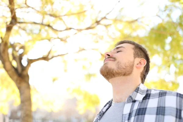 Hombre Relajado Respira Aire Fresco Profundo Parque Con Árboles Fondo — Foto de Stock