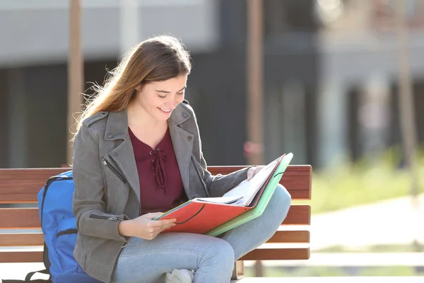 Happy student leren lezen notities op een bankje — Stockfoto