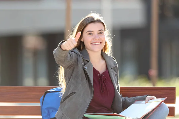 Glücklicher Student gestikuliert mit erhobenem Daumen auf einer Bank sitzend — Stockfoto