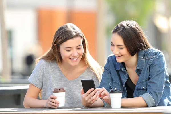 Dua teman memeriksa konten telepon online pintar di taman — Stok Foto