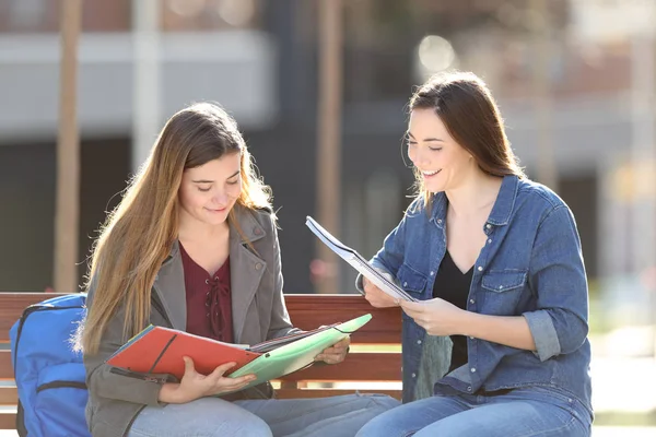 Twee studenten die lezingsnota's in een park bestuderen — Stockfoto