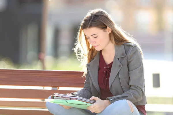 Studente che impara a leggere note su una panchina — Foto Stock