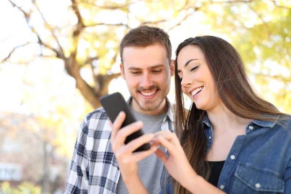 Casal feliz em um parque usando um telefone inteligente — Fotografia de Stock