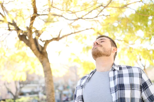 Человек расслабляется дыша глубоким свежим воздухом в парке — стоковое фото