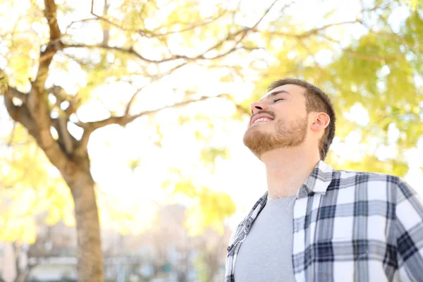 Hombre feliz relajándose respirando aire fresco profundo en un parque — Foto de Stock