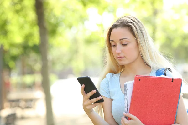 Estudiante serio en un parque usando un teléfono inteligente — Foto de Stock