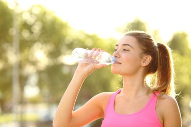 Parktaki bir şişeden su içen bir kaçak.