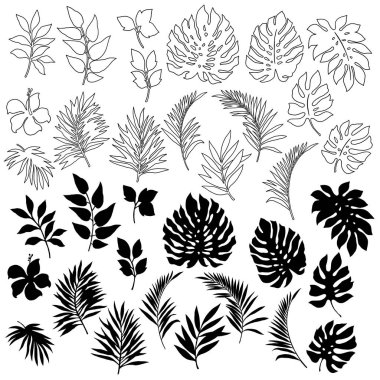 Tropikal bitki illüstrasyon, tasarladığım bir tropikal plantthis resim devam ediyor tekrar tekrar, bu bir vektör çalışma,