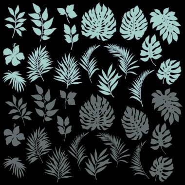 Tropikal bitki illüstrasyon, tasarladığım bir tropikal plantthis resim devam ediyor tekrar tekrar, bu bir vektör çalışma,