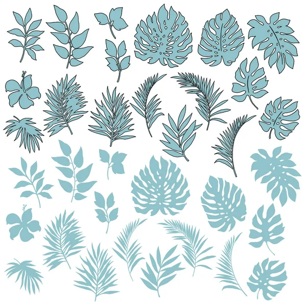 热带植物插画 我设计了一幅热带 Plantthis 画持续不断 — 图库矢量图片