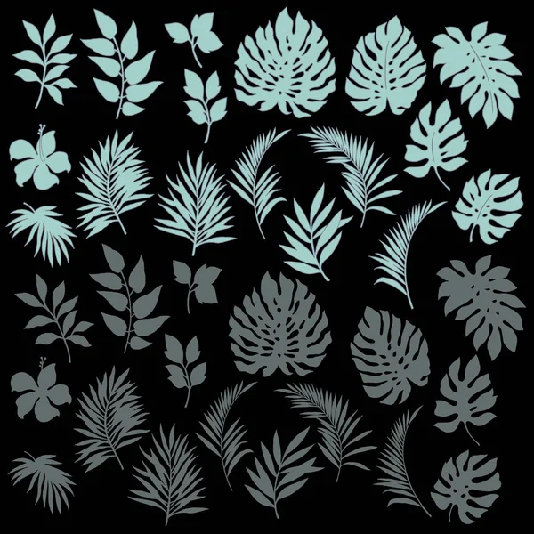 Tropikal bitki illüstrasyon, tasarladığım bir tropikal plantthis resim devam ediyor tekrar tekrar, bu bir vektör çalışma,