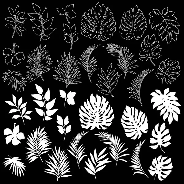 Tropikal bitki illüstrasyon, tasarladığım bir tropikal plantthis resim devam ediyor tekrar tekrar, bu bir vektör çalışma,