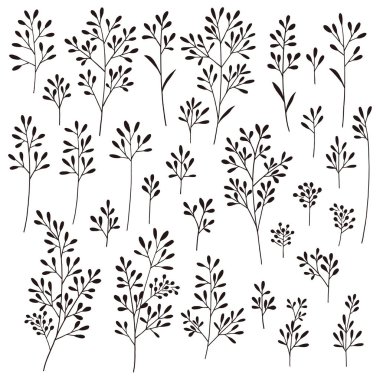 Yaprak çizim nesnesi. Bu basit ve bir yaprak ifade