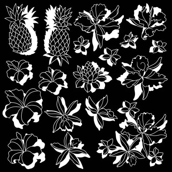 Tropical Flower Illustrationi Drew Tropical Flower Designing — Stock Vector