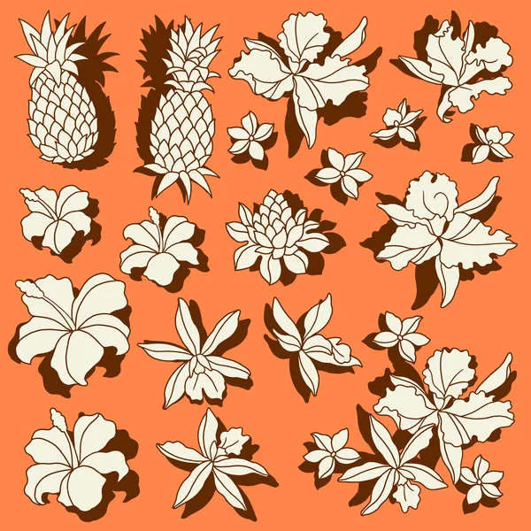 Illustrazione Floreale Tropicaleho Disegnato Fiore Tropicale Progettarlo — Vettoriale Stock