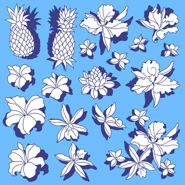 Tropische Blume Illustrationi Zeichnete Eine Tropische Blume Für Die Gestaltung — Stockvektor