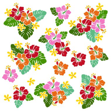 Hibiscus çiçek illüstrasyon, Hibiscus tasarlamak için çizdiğim,