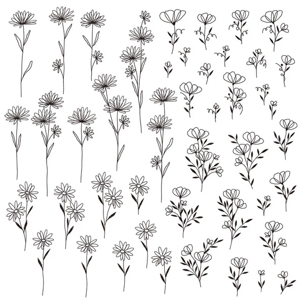 Illustration Florale Abstraite Conçu Une Fleur Abstraite — Image vectorielle