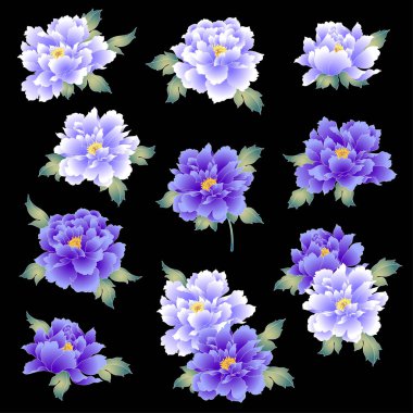 Japon güzel şakayık stil, bir Japon tarzı şakayık flowerit tasarımını bir kimono için kullanılır