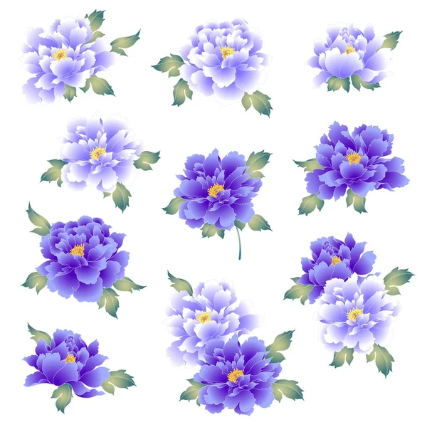 Japon güzel şakayık stil, bir Japon tarzı şakayık flowerit tasarımını bir kimono için kullanılır