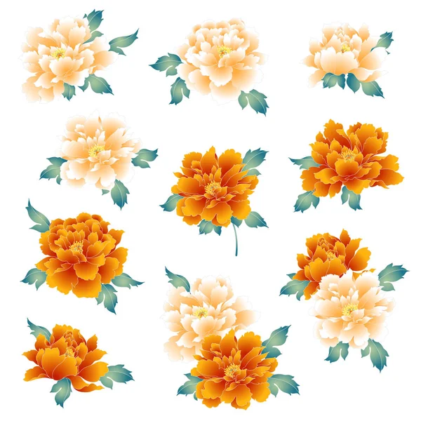 Peonía Hermosa Estilo Japonés Diseño Una Flor Peonía Estilo Japonésse — Vector de stock