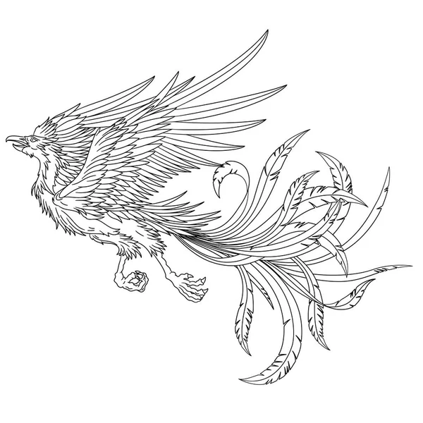 Çin Phoenixi Resmi Çince Bir Anka Kuşu Tasarlanmış — Stok Vektör