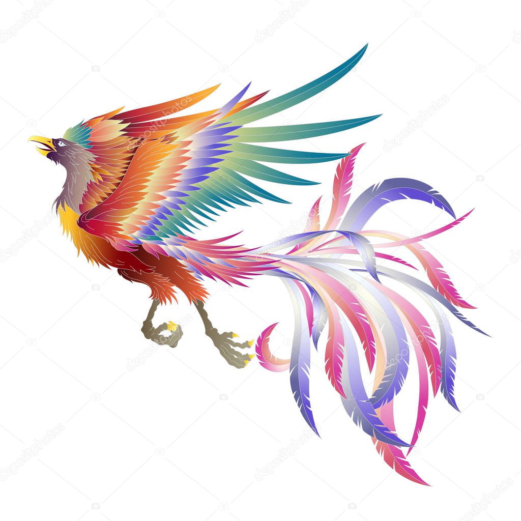 Illustration of the Chinese phoenixI designed a Chinese phoenix