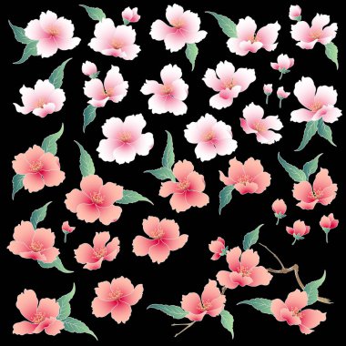 Japon tarzı kiraz çiçeği illüstrasyon,