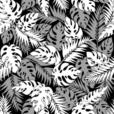 Tropikal bitki illüstrasyon model,