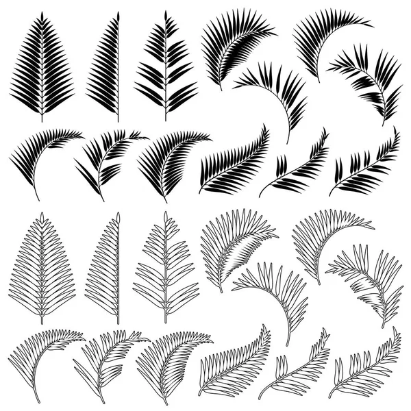 Tropisk Växt Illustration Material — Stock vektor
