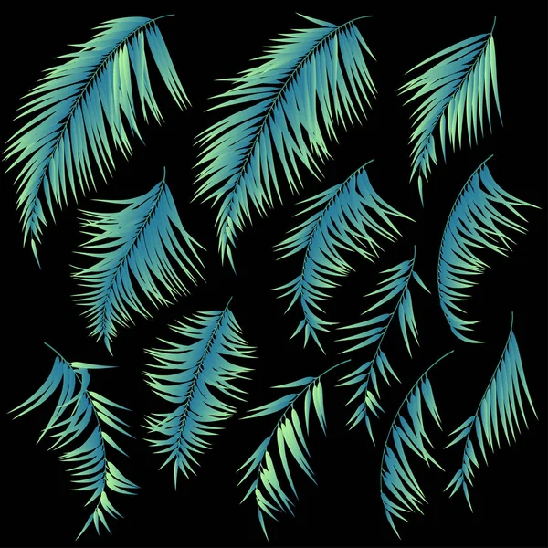 Matériel Illustration Plantes Tropicales Conçu Une Plante Tropicale — Image vectorielle