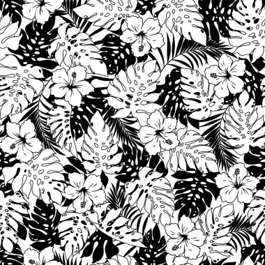 Tropikal bitki illüstrasyon model