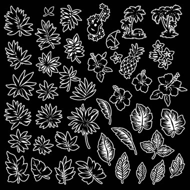 Tropikal bitki illüstrasyon malzeme,