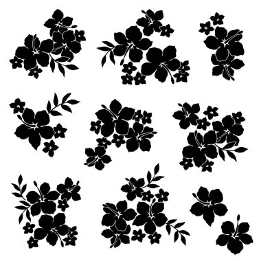 Hibiscus çiçek malzeme illüstrasyon