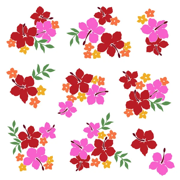 Hibiscus Bloem Materiaal Illustratie — Stockvector