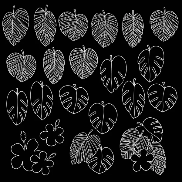 Hermosa Planta Tropical Fondo Material Ilustración — Vector de stock