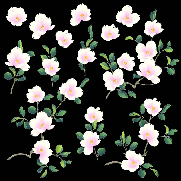 具有日本风格的山茶花的插图 — 图库矢量图片