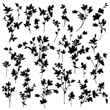 Güzel bir çiçeğin vektör çizim materyali