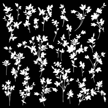 Güzel bir çiçeğin vektör çizim materyali