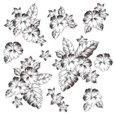 Güzel Hibiscus çiçeği malzeme vektör çizimi, onu tasarladığı için Hibiscus çizdim,